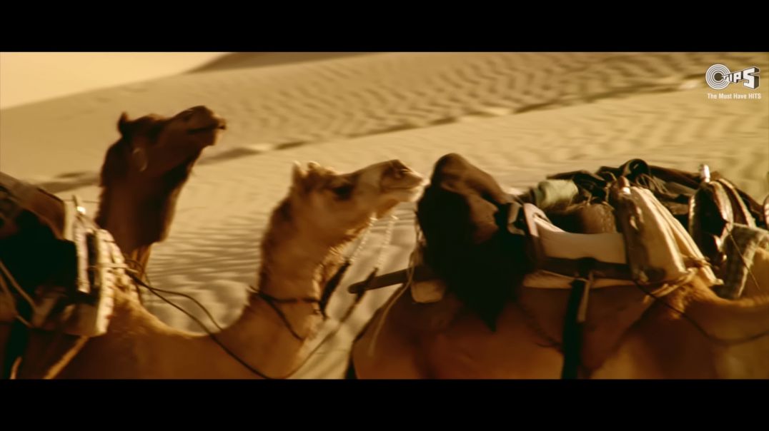 ⁣Zindagi Maut Na Ban Jaye _ Sonu Nigam _ Roop Kumar R _ Aamir Khan _ Sarfarosh _ Patriotic Hindi Song