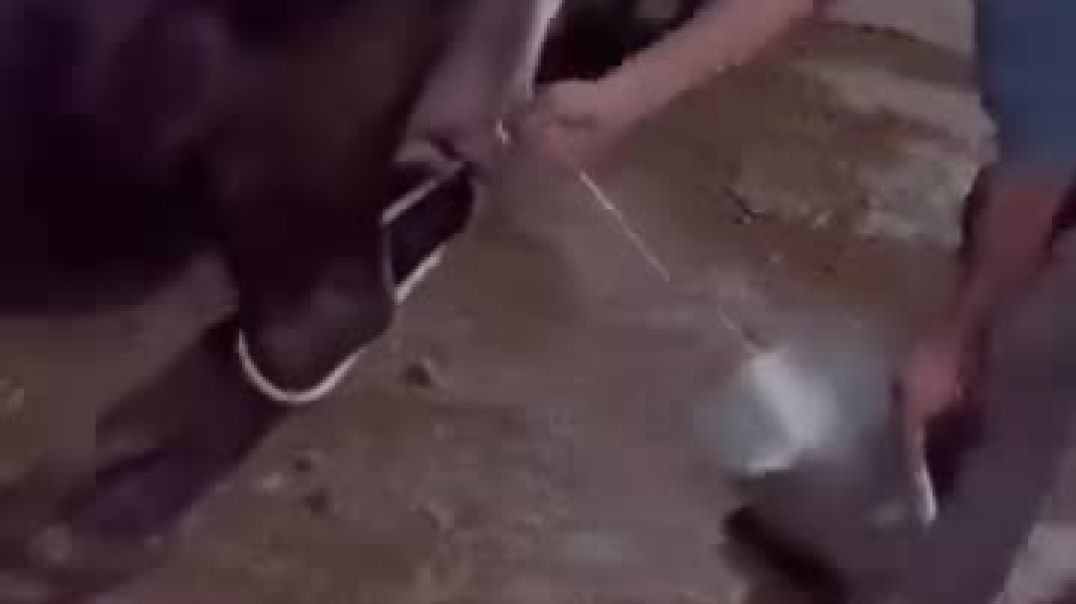 ⁣#Hr status #video #viral #reels #comedy #funnyvideos #instagramreels