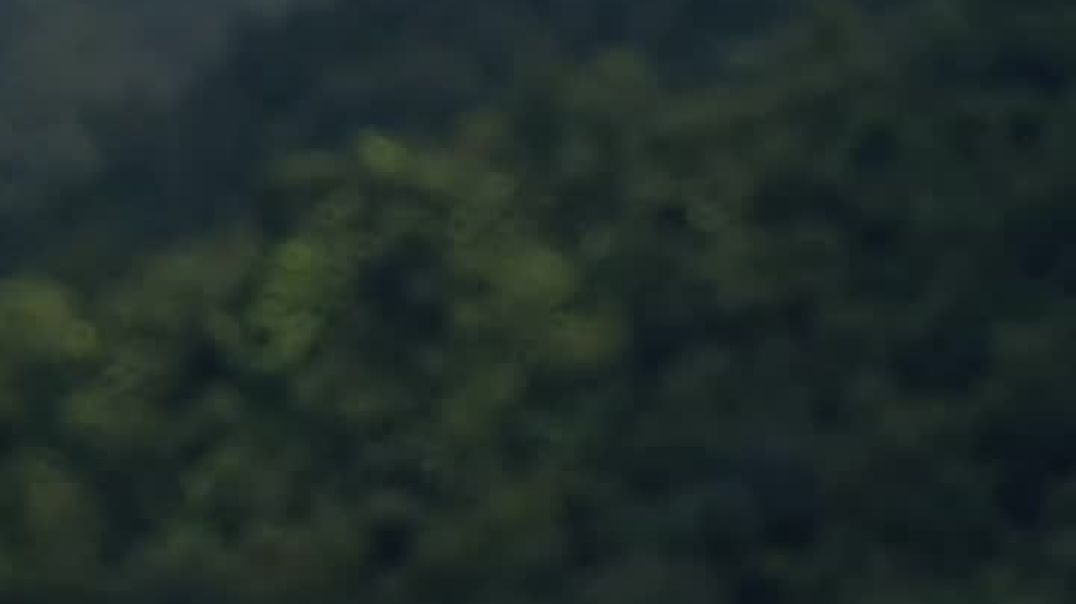 Guess_This_Location😍✨_