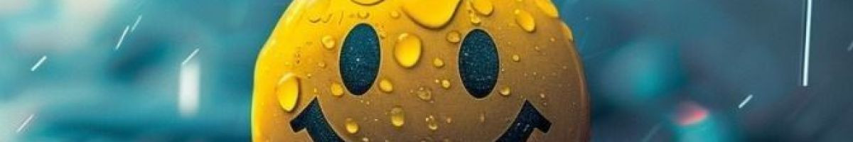 110950484127355537638 