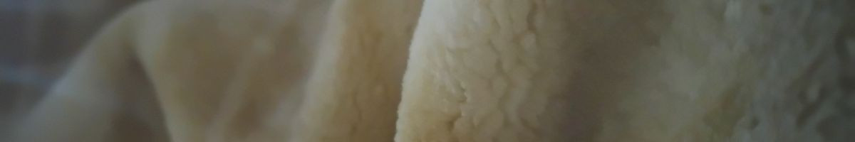 Rj_13_wale