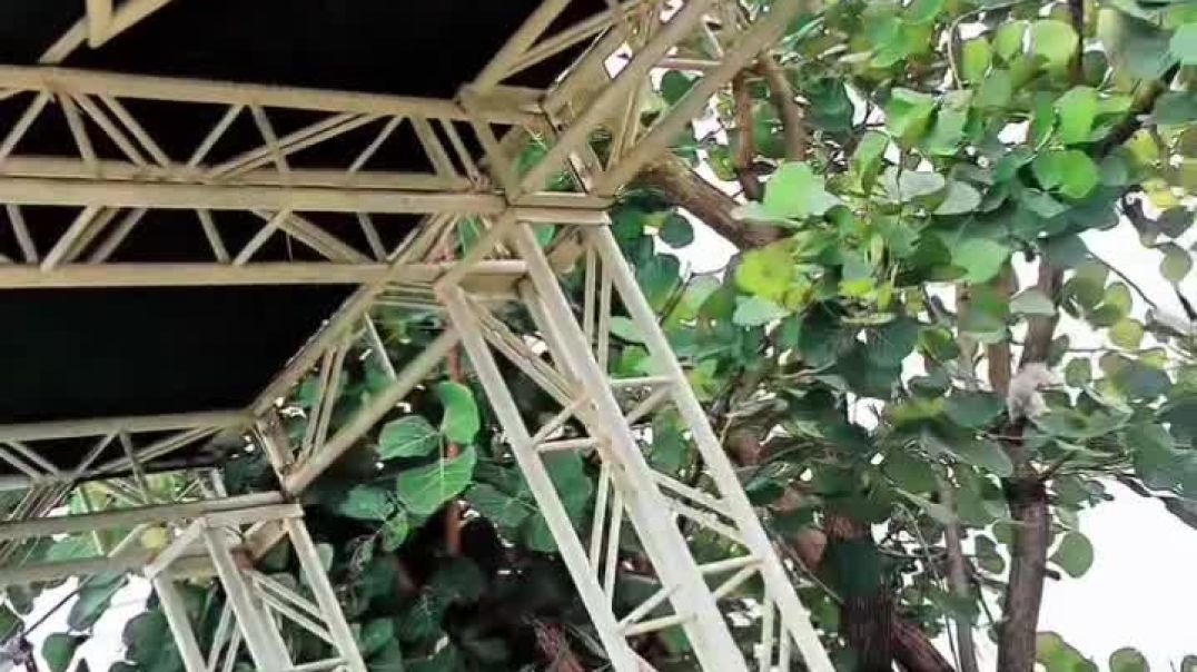 VID_20251228_232015_887