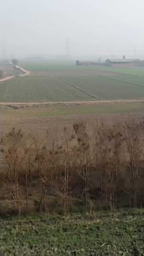 ⁣Village vlog #apnatube