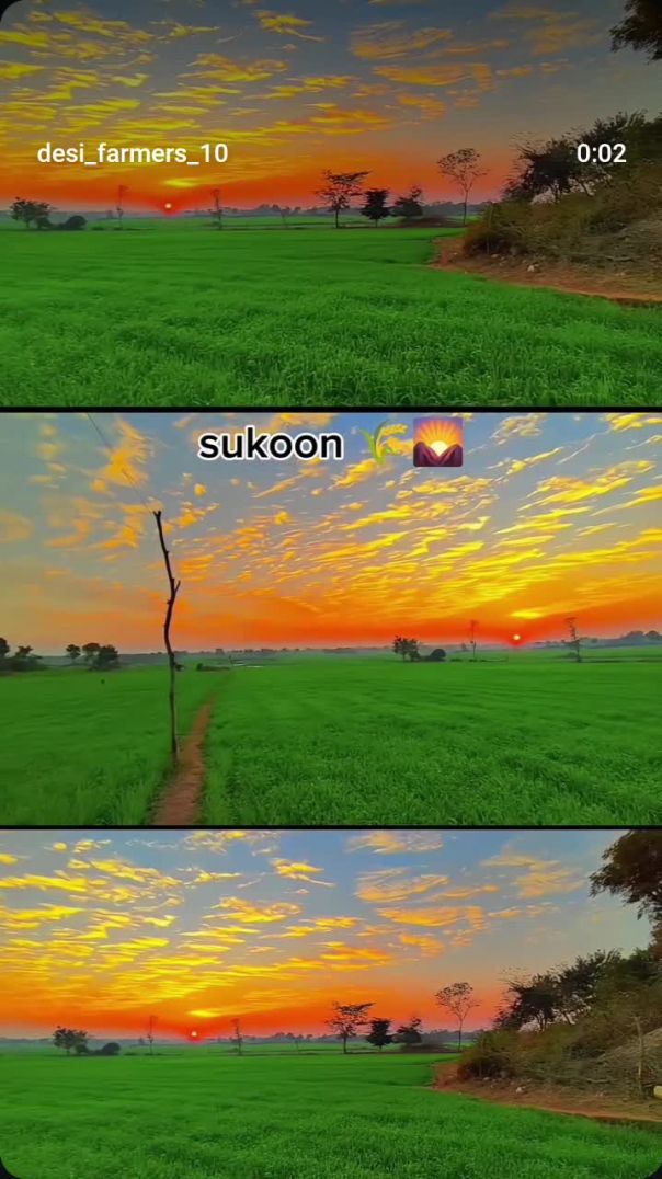 VID_20250107_013320_592