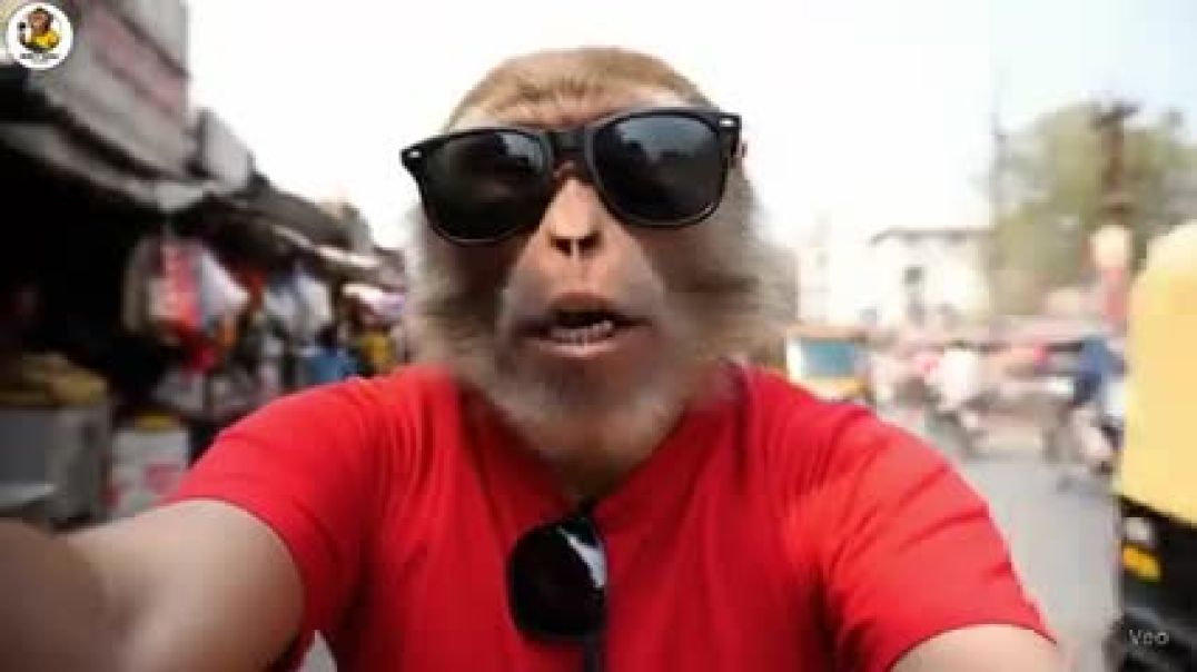 Bandar_Babul_Monkey_Vlogger_Viral_video____Hindi_Viral_AI_Vlogs_Video____Indian_Monkey_Trending_Vlog
