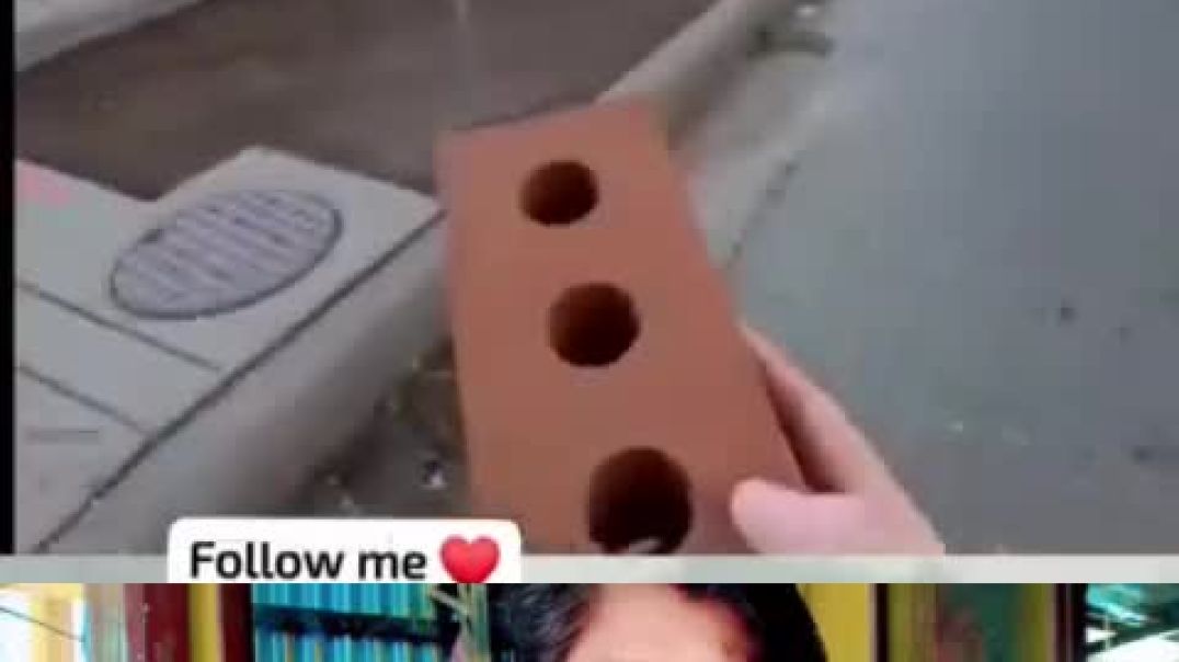 ⁣काही देशाचे नियम पहा