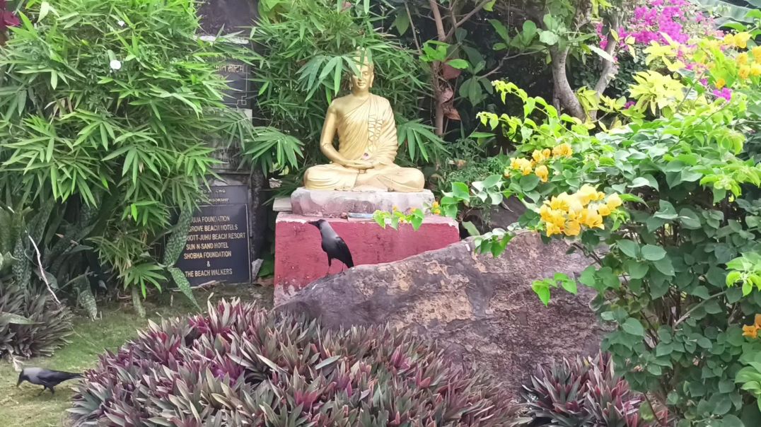 ⁣Nature is very beautiful. | Park | Bhagwan Buddh