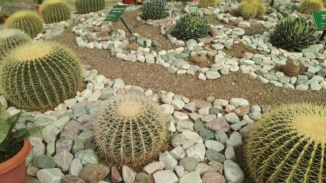 ⁣My First Vlog | Vlog video | New vlog |Shyam jurel