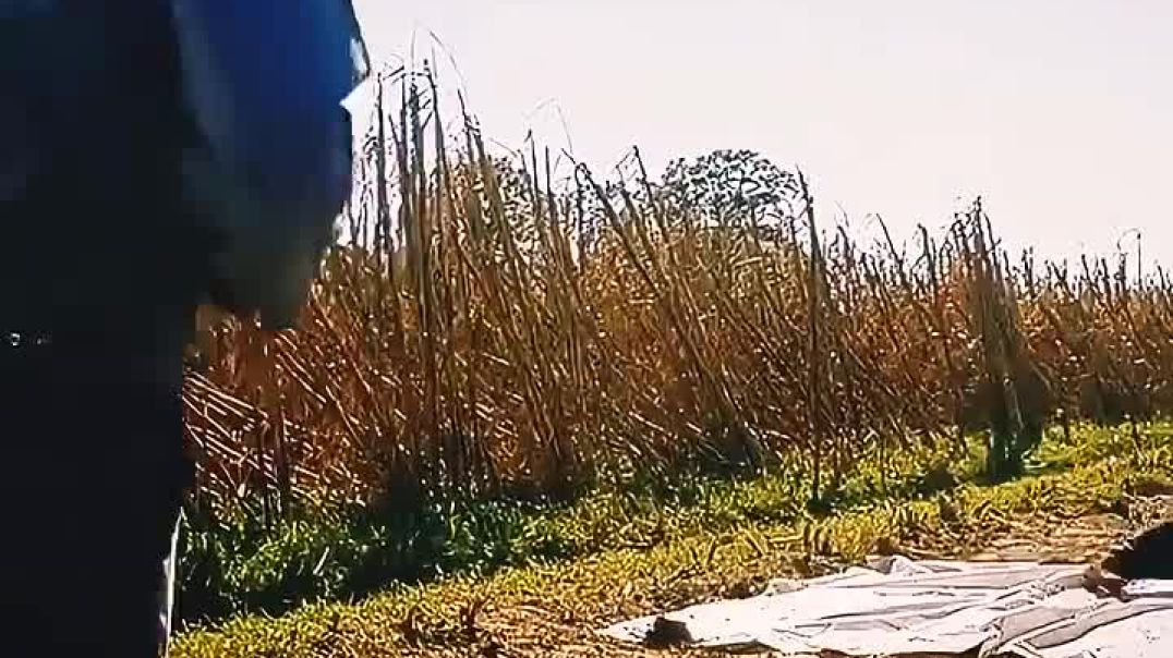 Summarized in 60 Seconds! ⏱️ #shorts