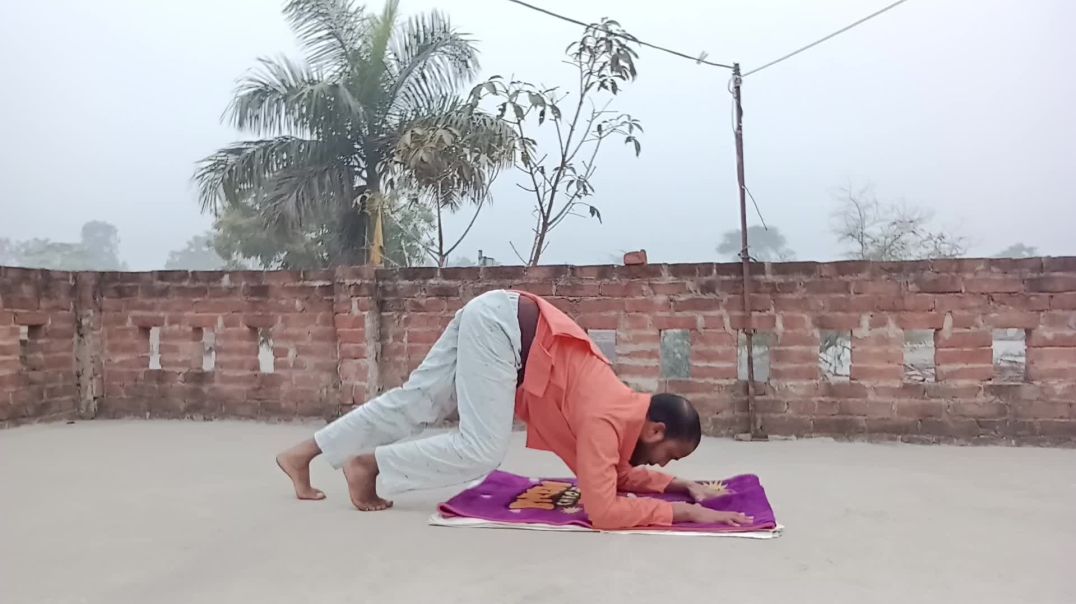 ⁣आपको यह वीडियो देखकर कैसा लगा