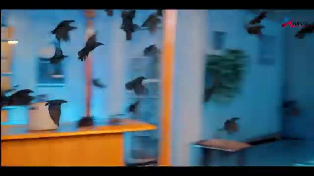 #Video___रुमलिया___#khesari_lal_yadav___shilpi_raj___rumaliya___dimpal_singh___#bhojpuri_song_2026(360p)