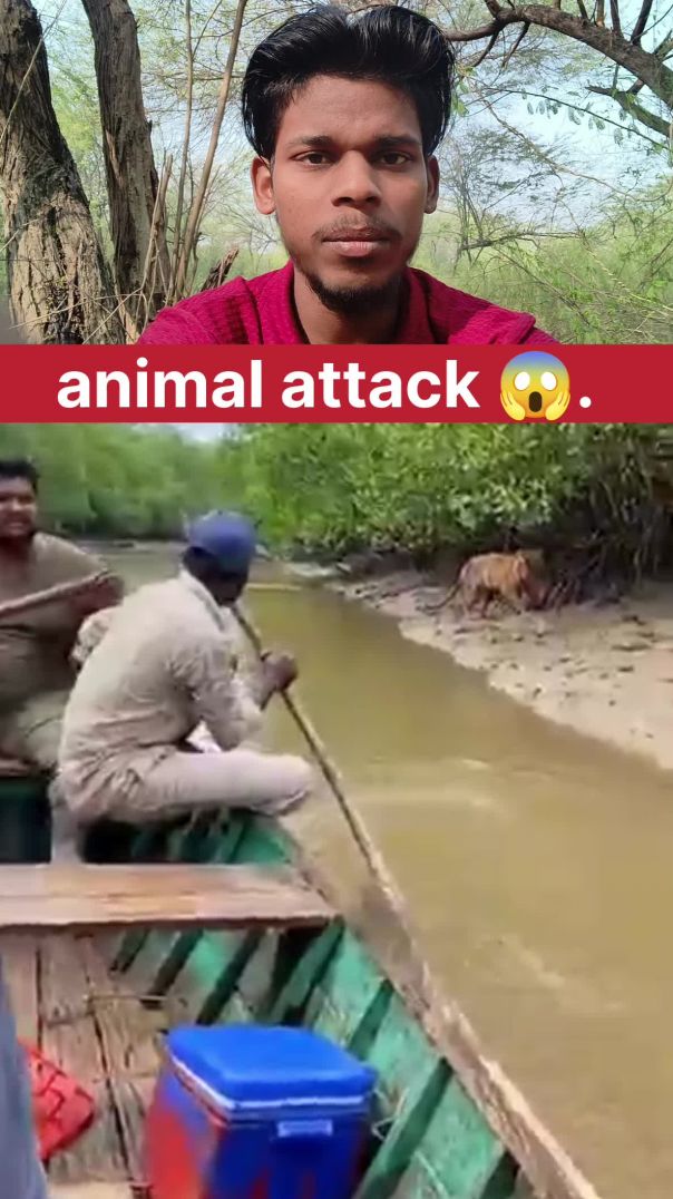 Animal Attack on Camera Recording 😱 | Unexpected Wild Moment Caught
