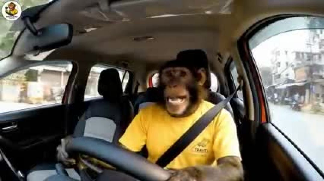 Baba_bunty_1st_Vlog____Ai_monkey_Vlog____I_Will_go_to_the_Mall____ai_monkey_shorts(240p)