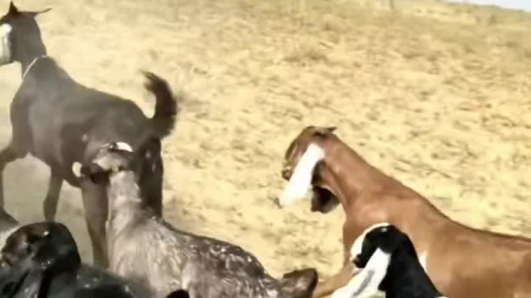 ⁣VID_20260106_022439_341