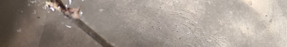 102120184171769063826 