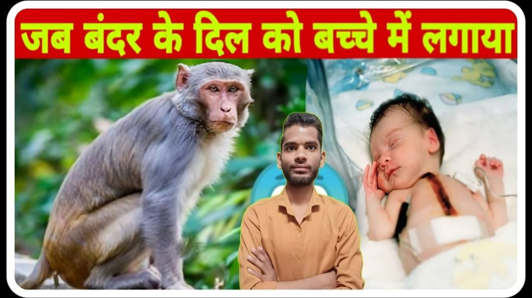 ⁣Human Body Part Can Be Replaced With Animal Body Part || Monkey Heart in Human Body || AC Prashant