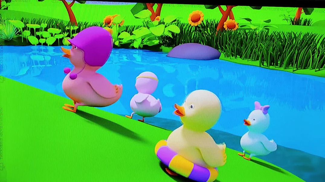 ⁣Five ducks video / animal video