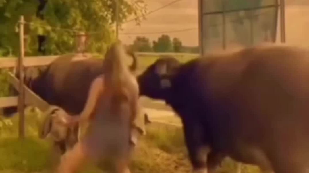 VID_20260108_073637_570