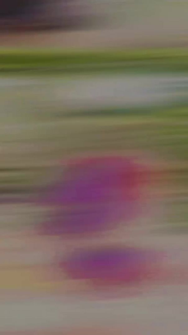 instagram_1769632072336(720p)