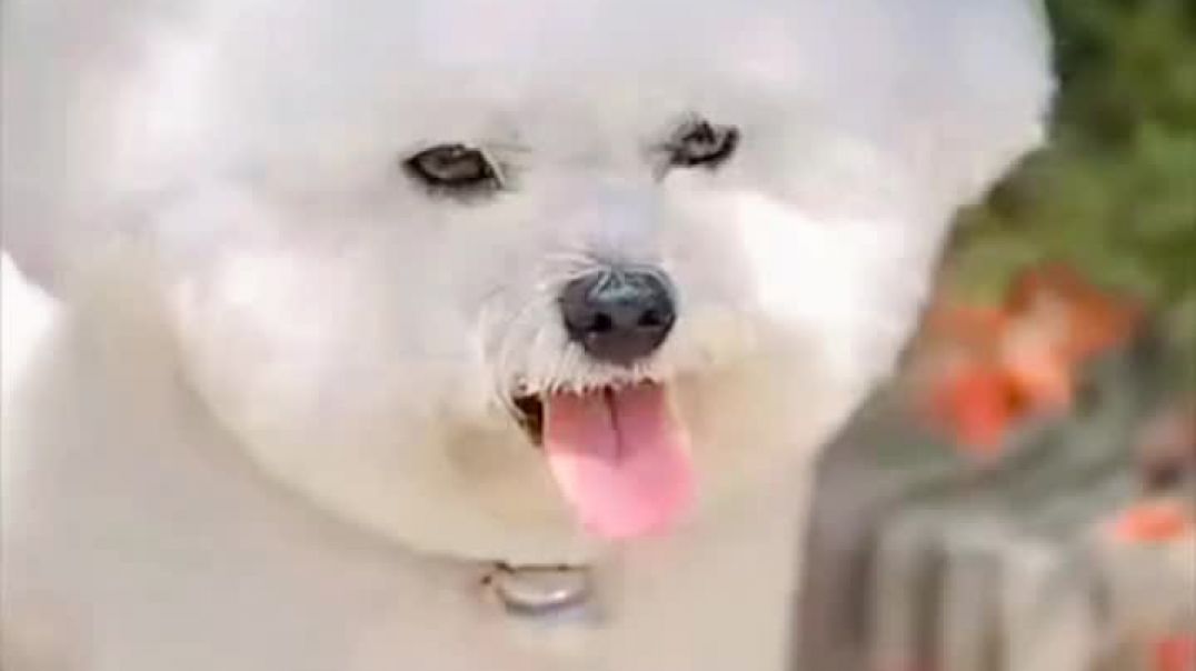 ⁣Drama series hindi video 🔥🔥🔥🔥 #drama