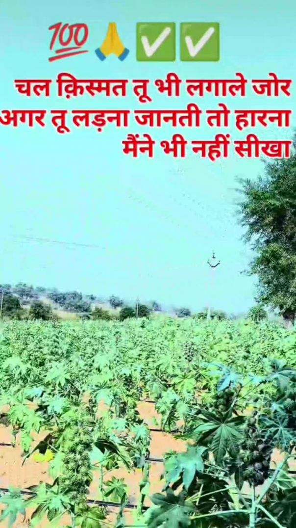 VID_20260121_074618_430