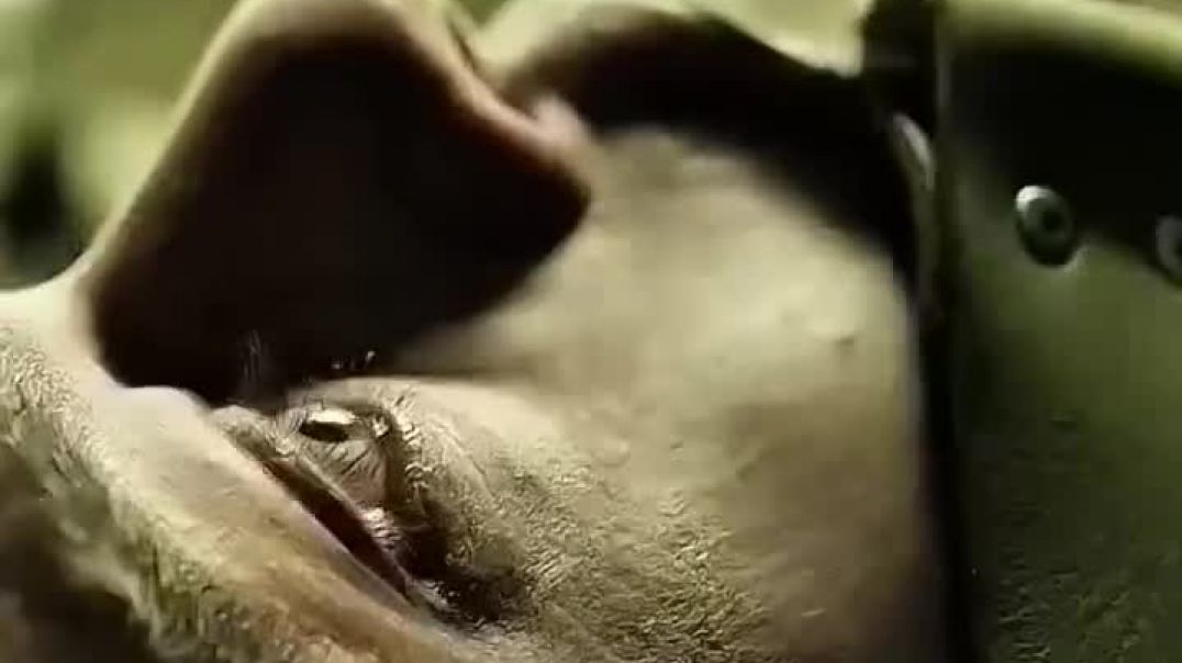 ⁣Facebook_1768411685049(720p)