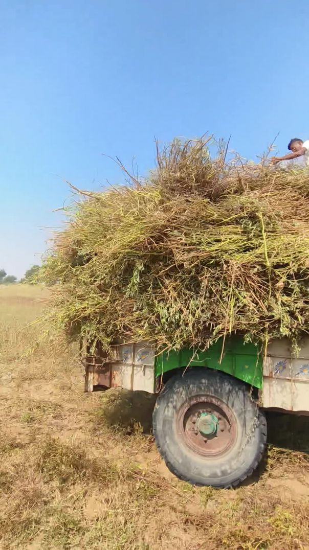 video_20251027_113152