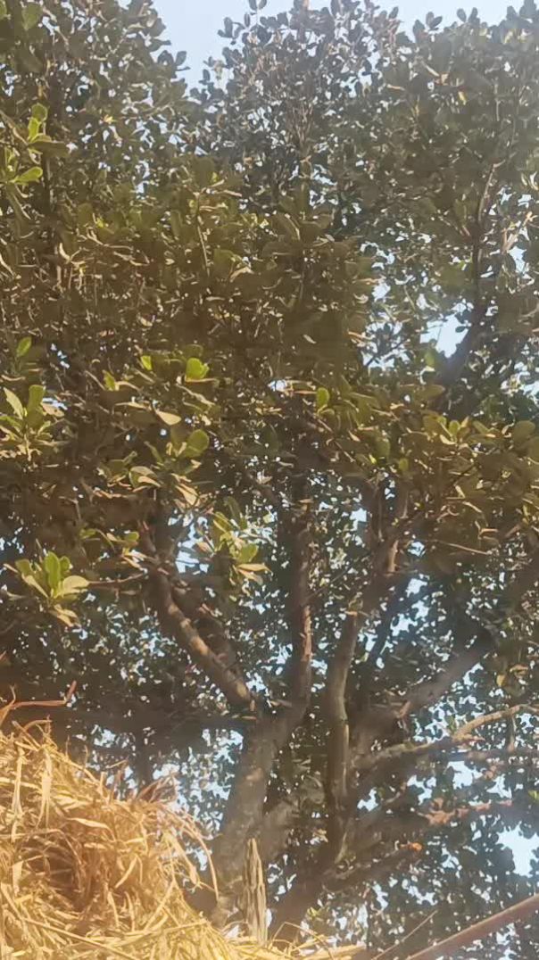 Apnatube channel me ek features bahut he khas hai 2026