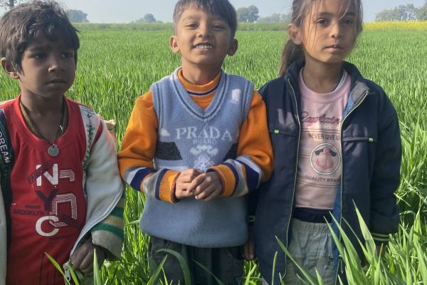 Good morning #apnatoub plz support kro