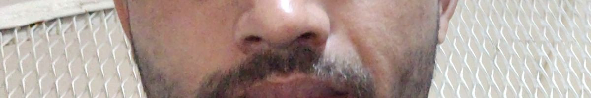 110124584775079132537 