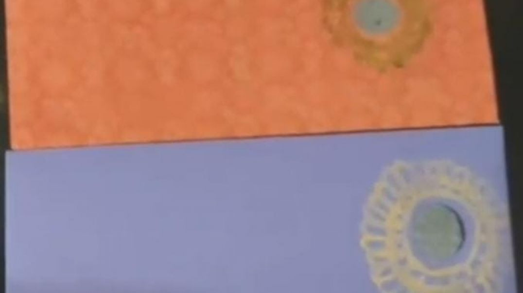 ⁣DIY envelope #sanchi