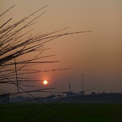 106135365858928207952 