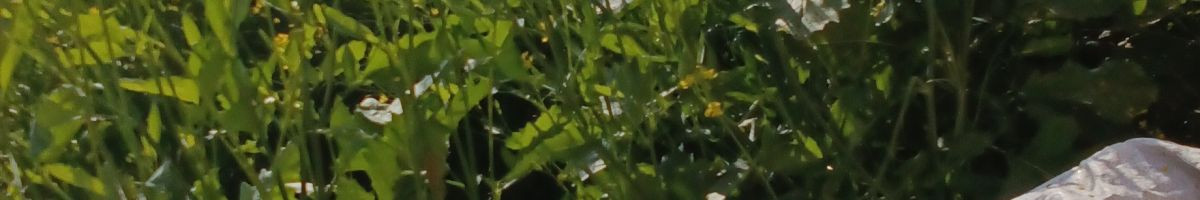 @VinodDasiLife @VinodDasiLife