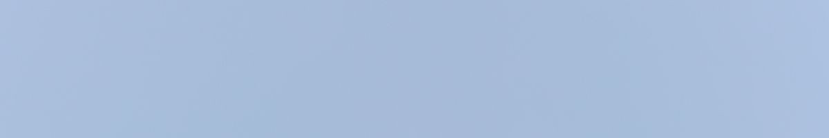 107463151939482242183 