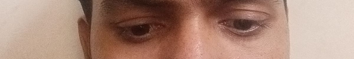 110429968827153249368 