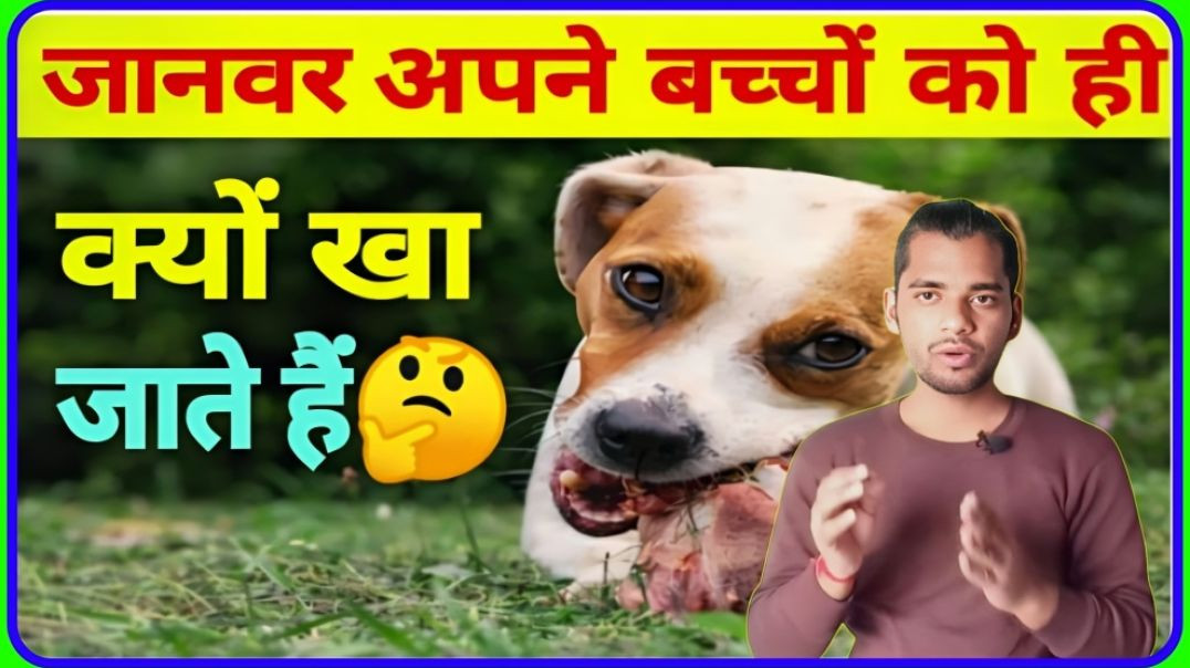 ⁣animal अपने child को क्यों खाWhy animals eat own children || Dog aur Cat apne hi bachcho ko kyo kha 