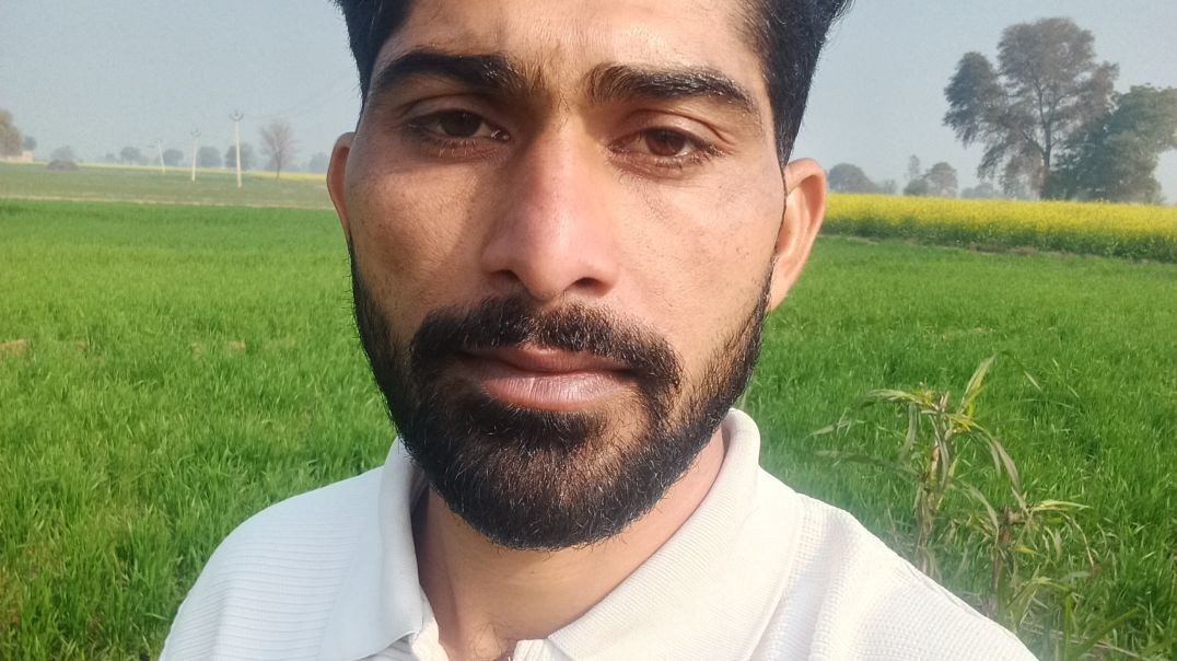 InShot_20260129_171924576