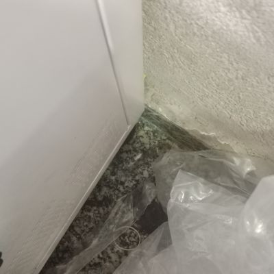 110017395044097480900 