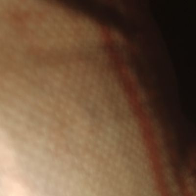 110131821174788421237 