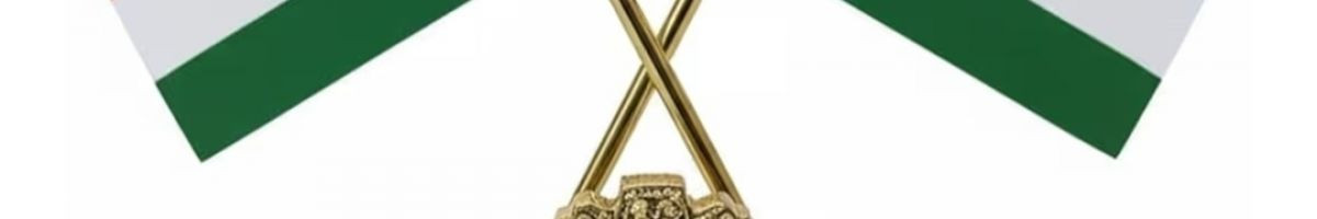 karansinghmeena