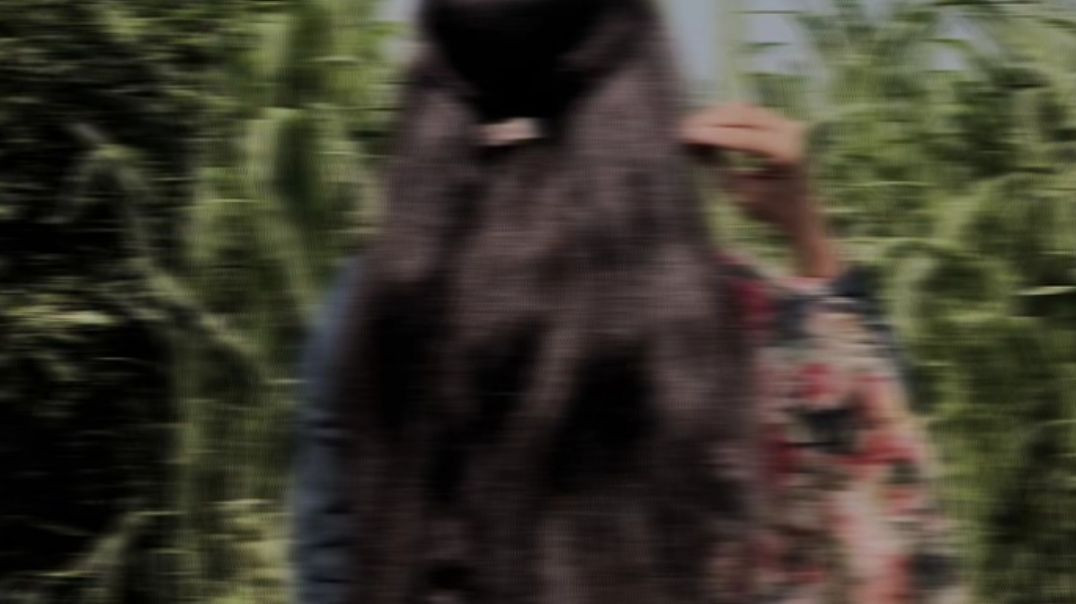 ⁣Financer_-_Bintu_Pabra___Pranjal_Dahiya___Shiva_Choudhary___Gunde_Bhi_Financer_Bhi(240p)