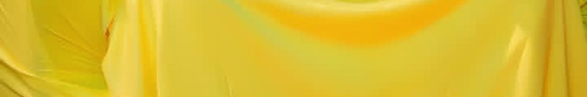 101171849739594792948 