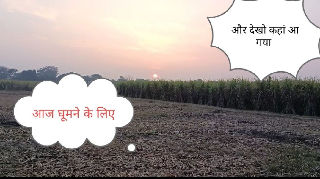 ⁣शाम के समय गांव के खेतों में घूमने का मजा कुछ और है