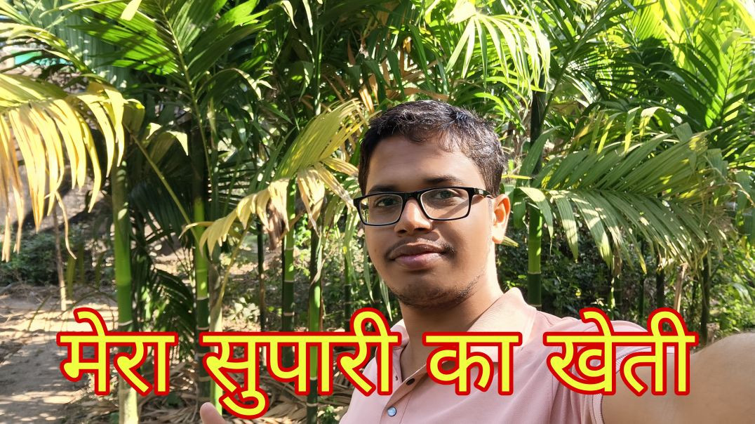 ⁣मेरा सुपारी का खेती