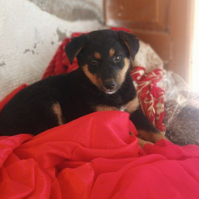 101488092916113559125 