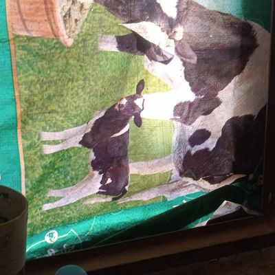 kamleshyrverma kamleshyrverma