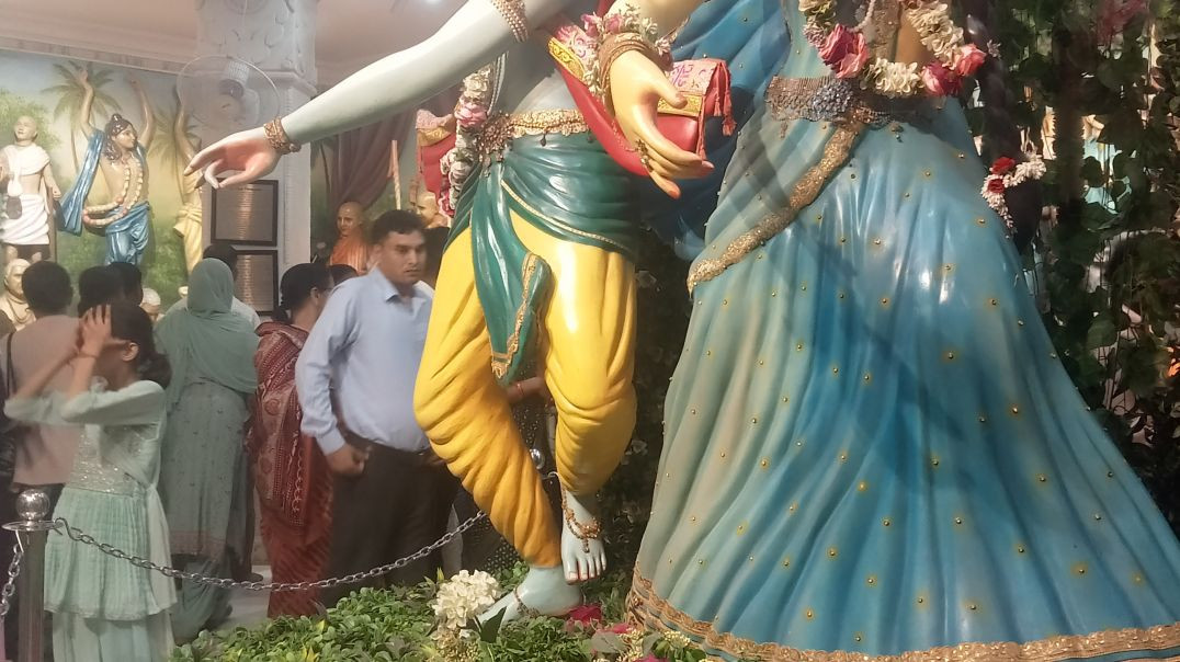 VID_20251102_064237_276