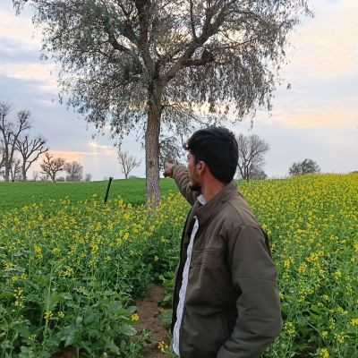 117344421524972340279 