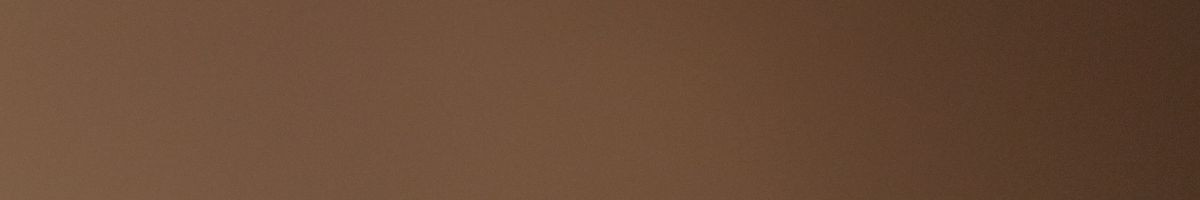 shreeballajimandirpunsisar