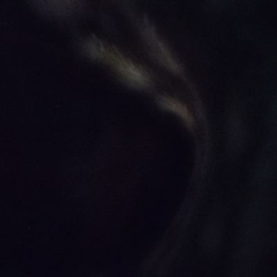 110620393044214144482 